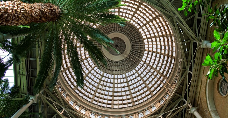 Winter Garden (Vinterhaven) at New Carlsberg Glyptotek, Copenhagen.