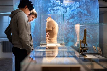 Two young visitors exploring exhibits on the human body at Medical Museion.